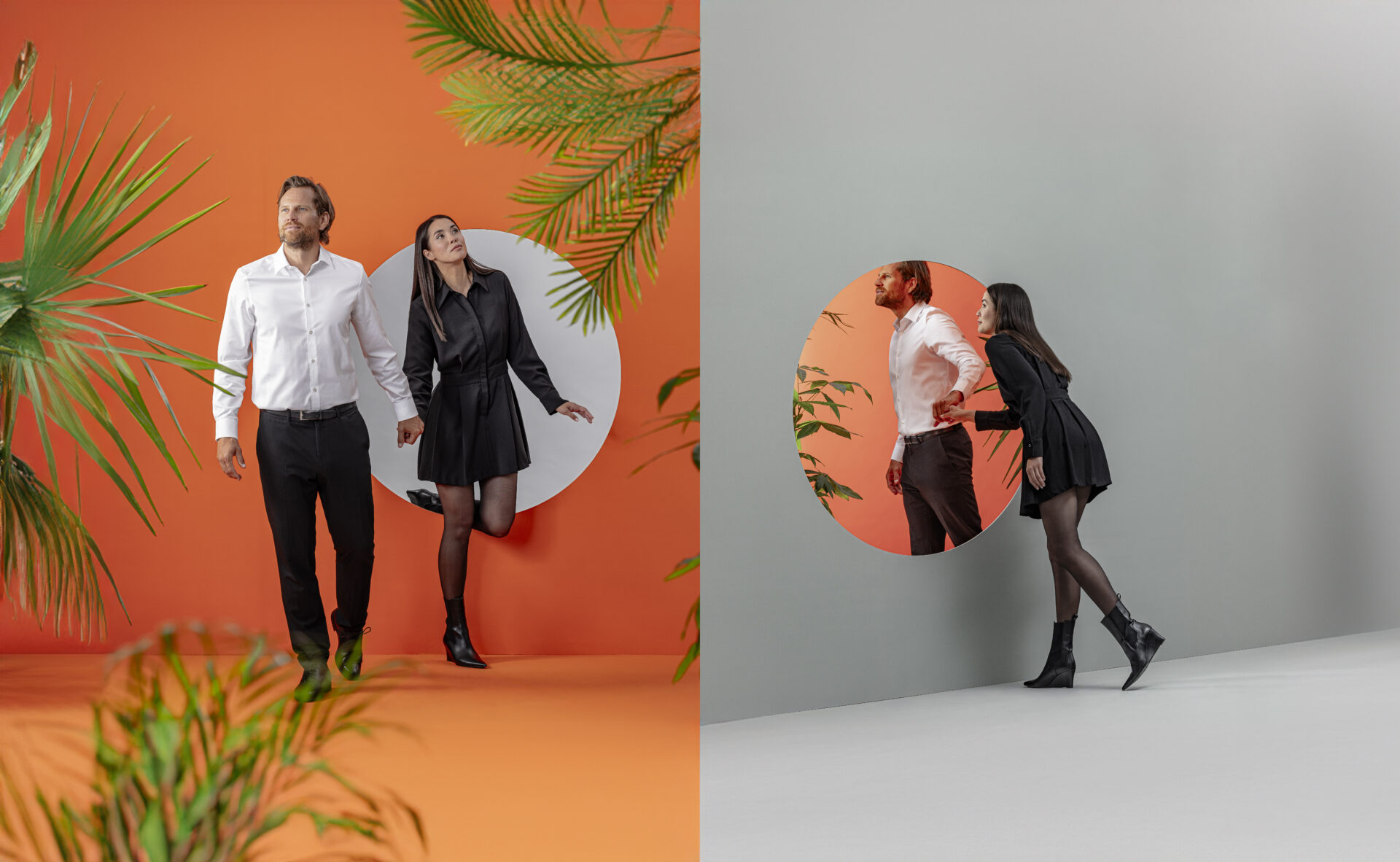 Serisolar serisolar WEB 2